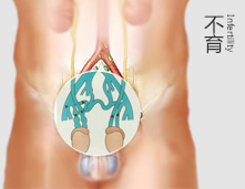 孕育之梦终在二轻实现