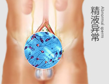 健康精子孕育新生命