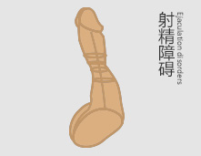 射精障碍差点毁灭我的爱情