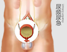 年纪大了，还真禁不起折腾