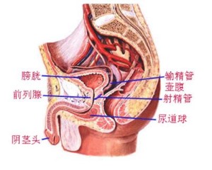 ǳǰʹ췽