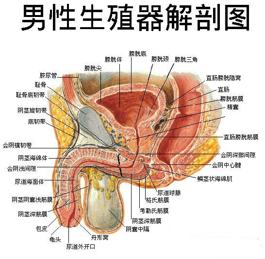 ǰе Һ